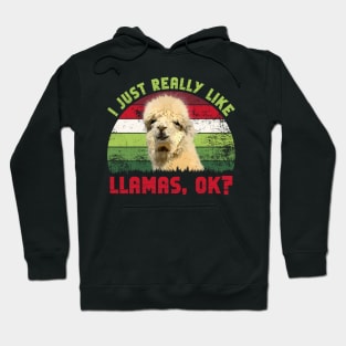 I Just Really Like Llamas, OK? Hoodie